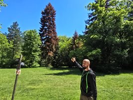 Личният секретар на царя Явор Кирилов е броил изсъхналите дървета в парка “Врана”.
