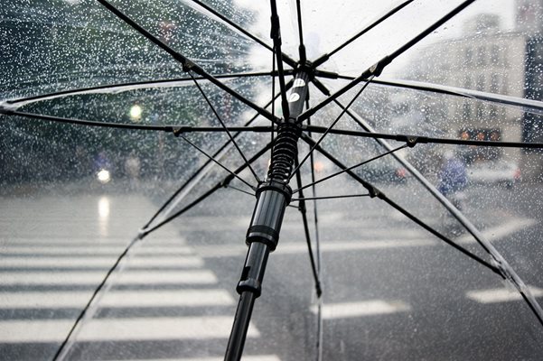 Дъжд Снимка: Pixabay